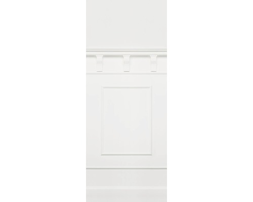 Komar Photo wallpaper non-woven 6018A-VD1 Panel Pure 1-piece. 100x250cm