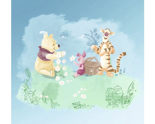 Non-woven photo wallpaper DX6-033 Disney Edition 4 Winnie the Pooh Picnic 6-piece set 300 x 280 cm