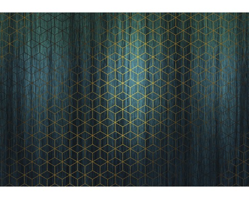 Komar Photo wallpaper non-woven HX8-047 Mystique Vert 8 pieces. 400x280cm