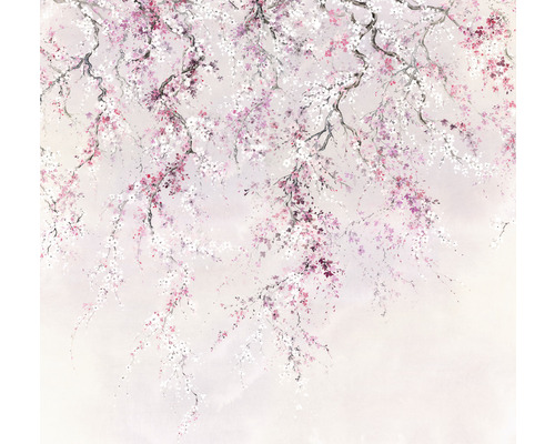 Komar Photo wallpaper non-woven INX6-013 ink cherry blossoms 6 pieces. 300x280cm