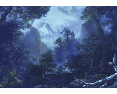 Komar Photo wallpaper non-woven INX8-014 Ink Midnight 8 pieces. 400x280cm