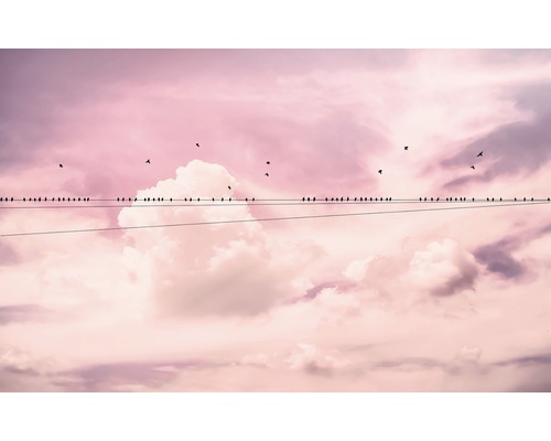 Komar Photo wallpaper non-woven P017-VD4 Pure Cloud Wire 4-part. 400x250cm