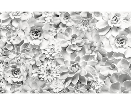 Komar Photo wallpaper non-woven P962-VD4 Pure Shades Black and White 4-piece. 400x250cm