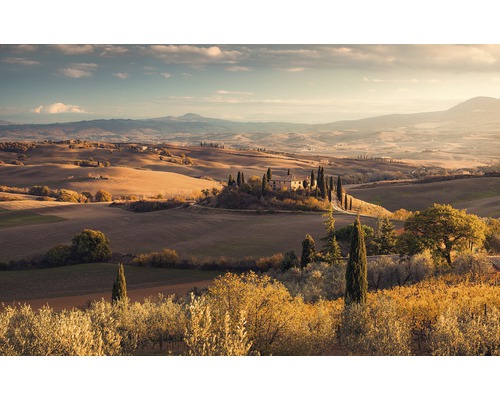 Komar Photo wallpaper non-woven PSH094-VD4 Pure Tuscan gold 4 pieces. 400x250cm