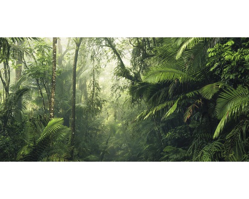 Komar Photo wallpaper non-woven PSH098-VD5 tropical worlds 5 pieces. 500x250cm