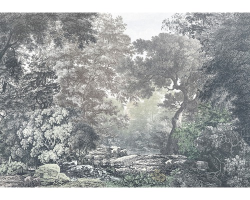 Komar Photo wallpaper non-woven R4-060 Fairytale Forest 4-part. 400x280cm