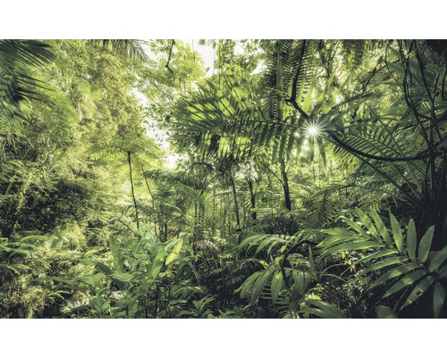 Komar Photo wallpaper non-woven SH041-VD4 Stefan Hefele Ed 1 Into The Jungle 4-piece. 400x250cm