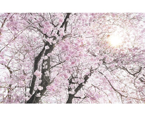 Non-woven photo wallpaper SH083-VD4 Stefan Hefele Ed 1 Bloom 4-piece set 400 x 250 cm