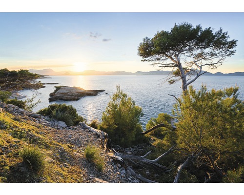 Komar Photo wallpaper non-woven SHX8-013 Light of the South 8 pieces. 400x280cm