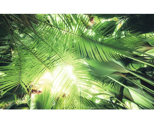 Komar Photo wallpaper non-woven SHX9-025 jungle roof 9 pieces. 450x280cm