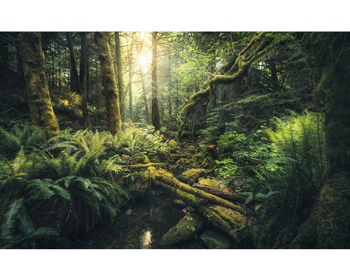 Komar Photo wallpaper non-woven SHX9-028 Elves Cathedral 9 pieces. 450x280cm