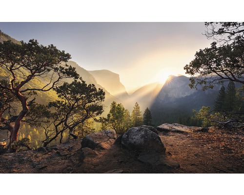 Komar Photo wallpaper SHX9-101 Yosemite's Secret 9 pieces. 450x280cm