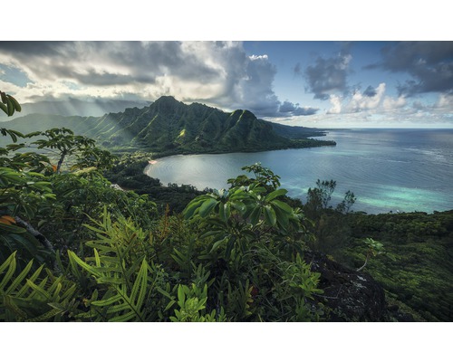 Komar Photo wallpaper non-woven SHX9-117 Jurassic Island 9 pieces. 450x280cm