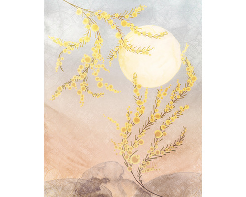 Komar Photo wallpaper non-woven X4-1091 Sol 4 pieces. 200x250cm