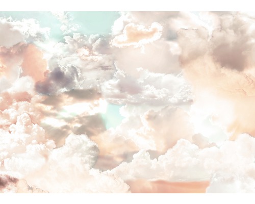 Photo wallpaper non-woven X7-1014 Mellow Clouds 7 pieces. 350x250cm