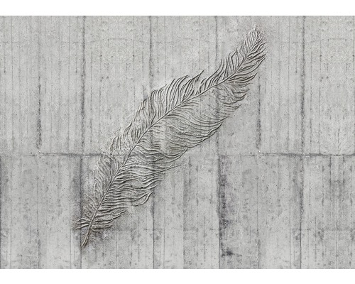 Komar Photo wallpaper non-woven X7-1023 Concrete Feather 7 pieces. 350x250cm
