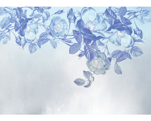 Komar Photo wallpaper non-woven X7-1094 Blue Aura 7 pieces. 350x250cm