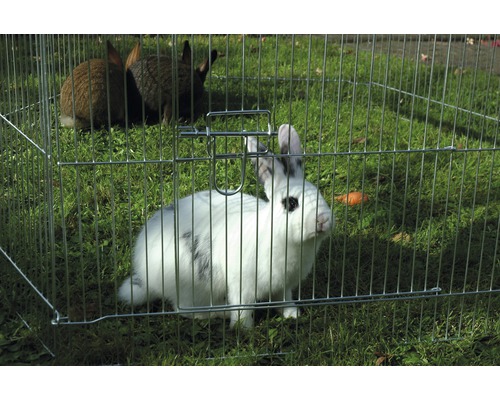 Hornbach Outdoor enclosure for young animals including protective net 123x106x60 cm