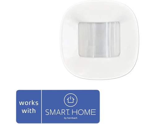 frient Motion Sensor 2 PET - Compatible with SMART HOME by hornbach