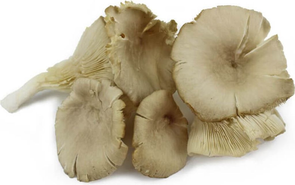 Biogo FRESH OYSTER MUSHROOMS (Poland) (approx. 0.20 kg)