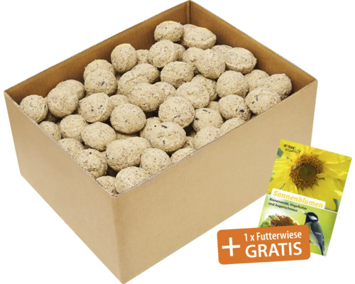 Hornbach All-season bird food suet balls protein 100 pieces