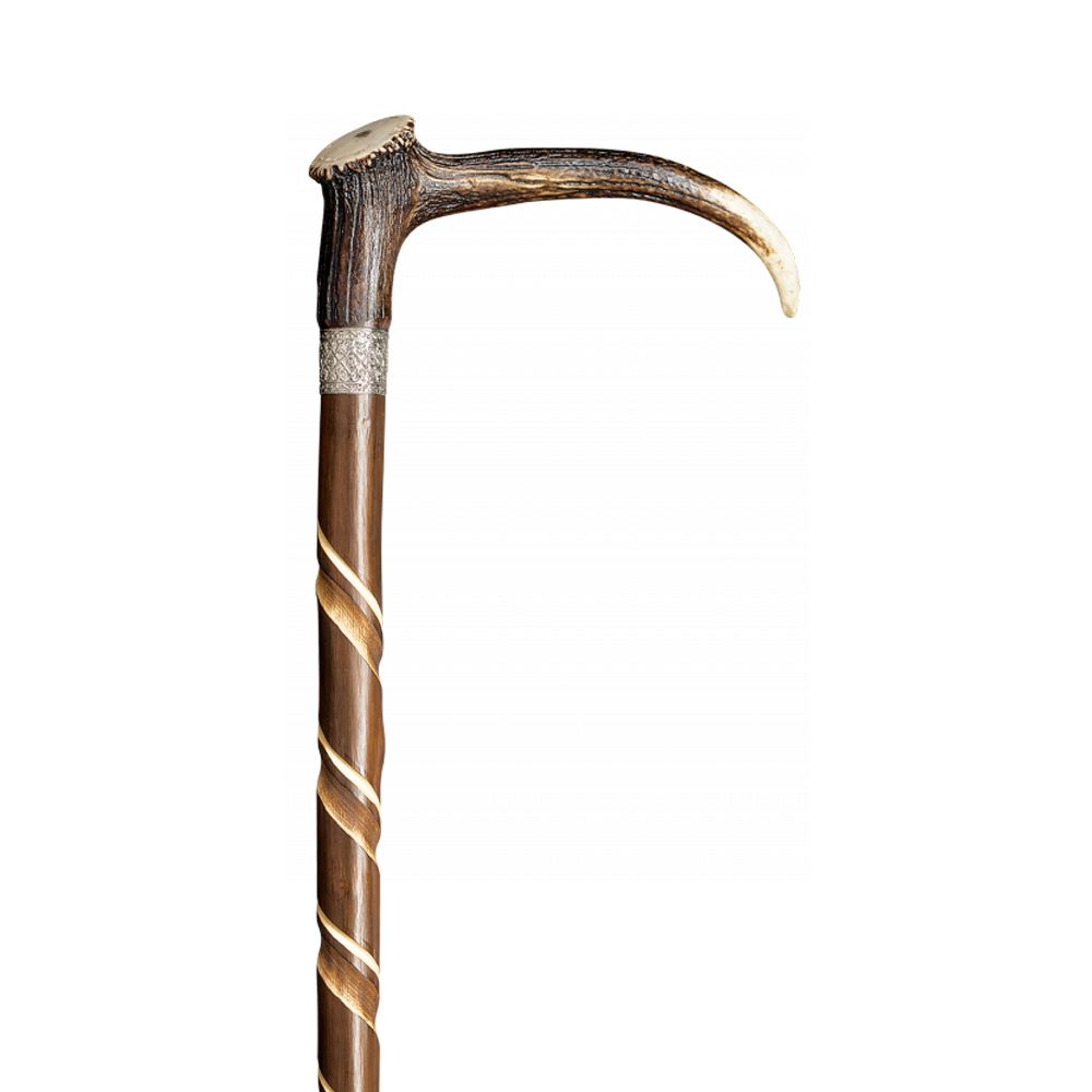 Gastrock hiking stick Hirschhorn 1 St