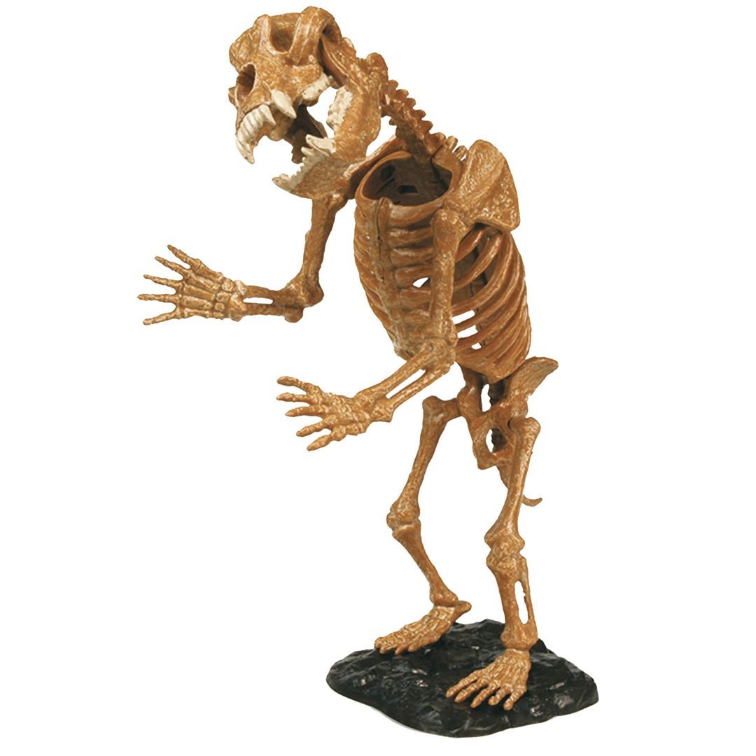 HQ Windspiration Geoworld 625218 – Ice Age Double Excavation Set Caveman And Höhlenbã ¤ R, A