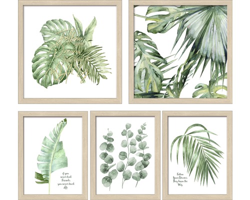 Pure Living Framed picture Green Plant Collage set of 5 57x47 cm