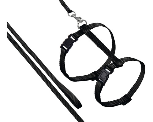 Harness with leash 110 cm, black
