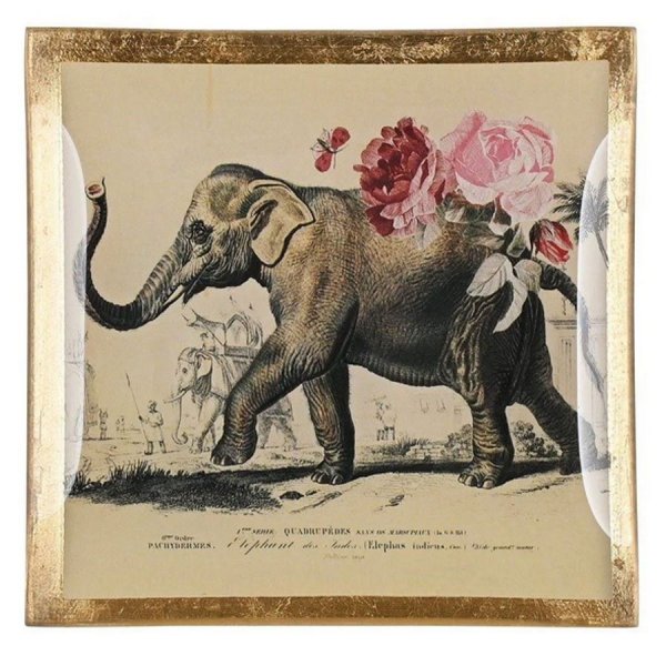 Gift Company Glass Plate Love Plates Elephant (10cm)