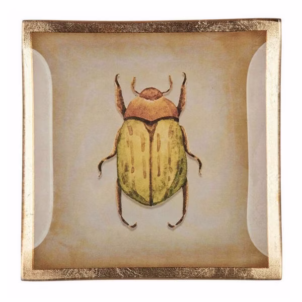 Gift Company Glass Plate Love Plates Beetle (10cm)