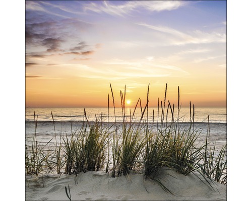 Pure Living Glass picture Lonely Dune 20x20 cm