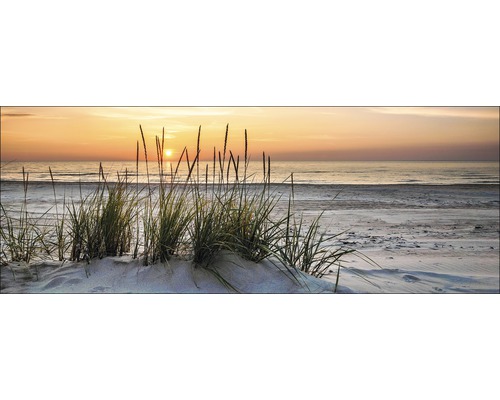 Pure Living Glass picture Lonely Dune 80x30 cm, 30 x 80 cm