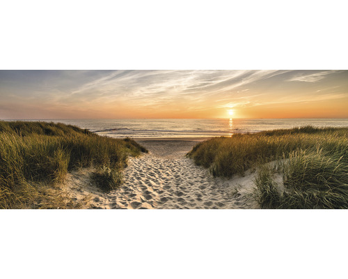 Pure Living Glass picture Path to the Beach 30x80 cm GLA2137