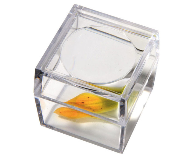 Betzold Box Magnifier