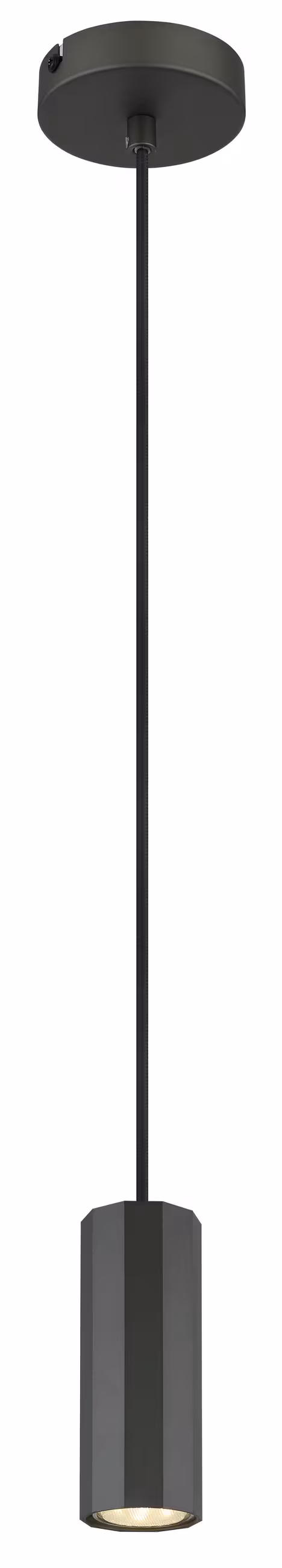 Globo HANGING LAMP James 10/120 cm