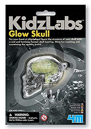 4M Glow Skull Multi Colour