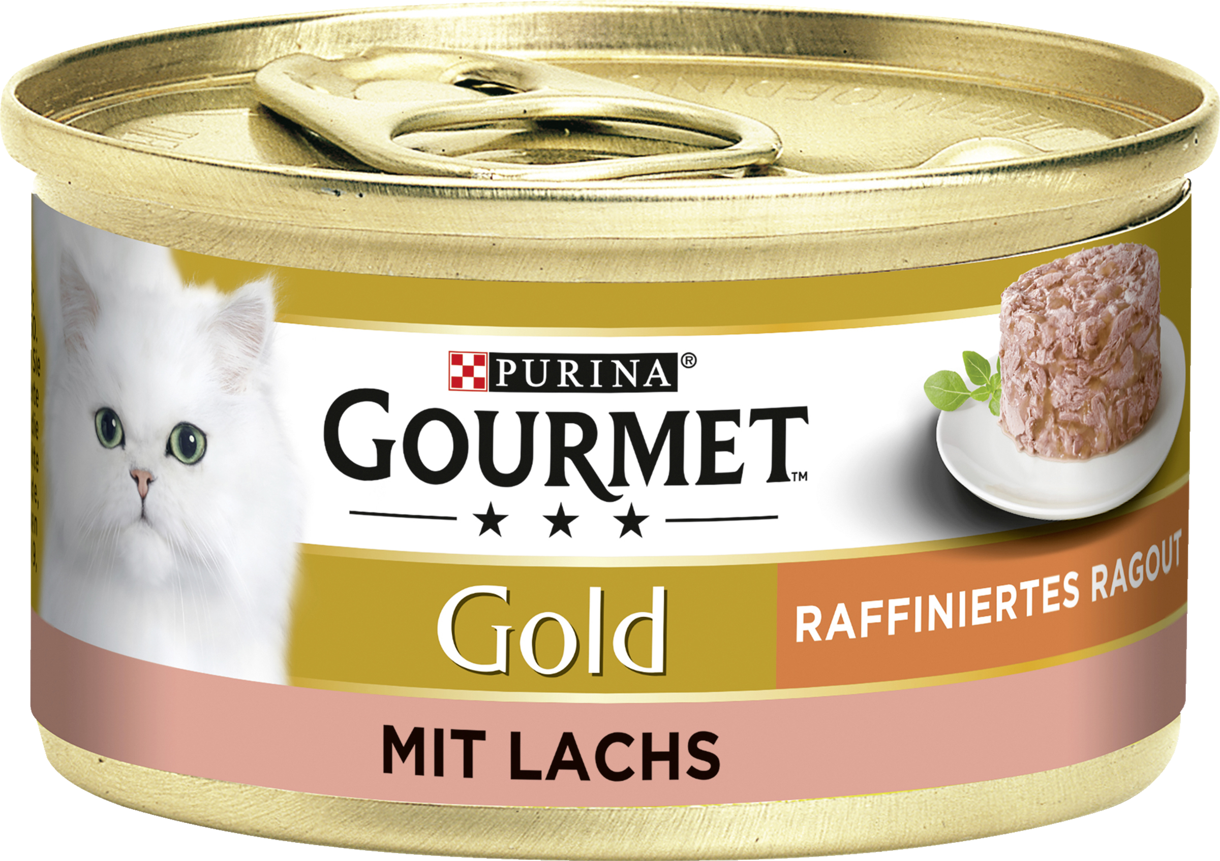 Gourmet gold sophisticated ragout with salmon