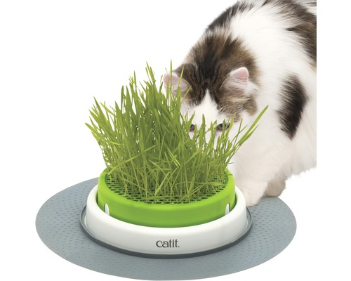 Catit Grass pot cat it Senses 2.0 Grass Planter with cover grid