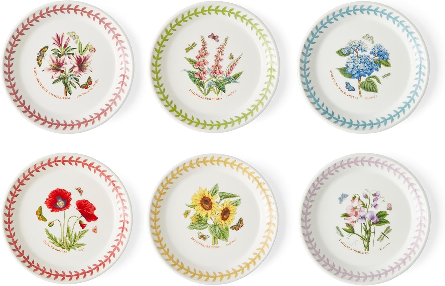 Portmeirion Portmerion Botanical Garden Meadow - 6" Round Bread Plates (Pack of 6) | various flowers with colorful bay leaf border | Earthenware | microwave and dishwasher safe | Home and restaurant for