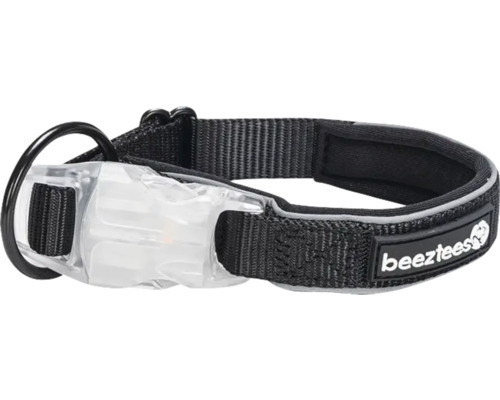 Beeztees Safety Gear Premium Dog Collar Parinca, black, 30-35 cm x 2 cm, adjustable length, reflective, includes rechargeable USB LED light, nylon