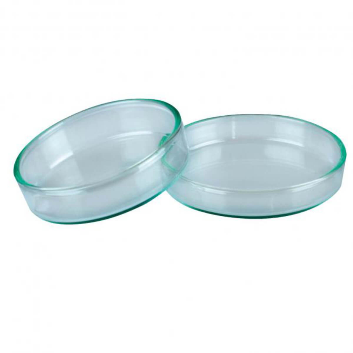 Hecht Assistant Petri dish with lid, D 12 cm