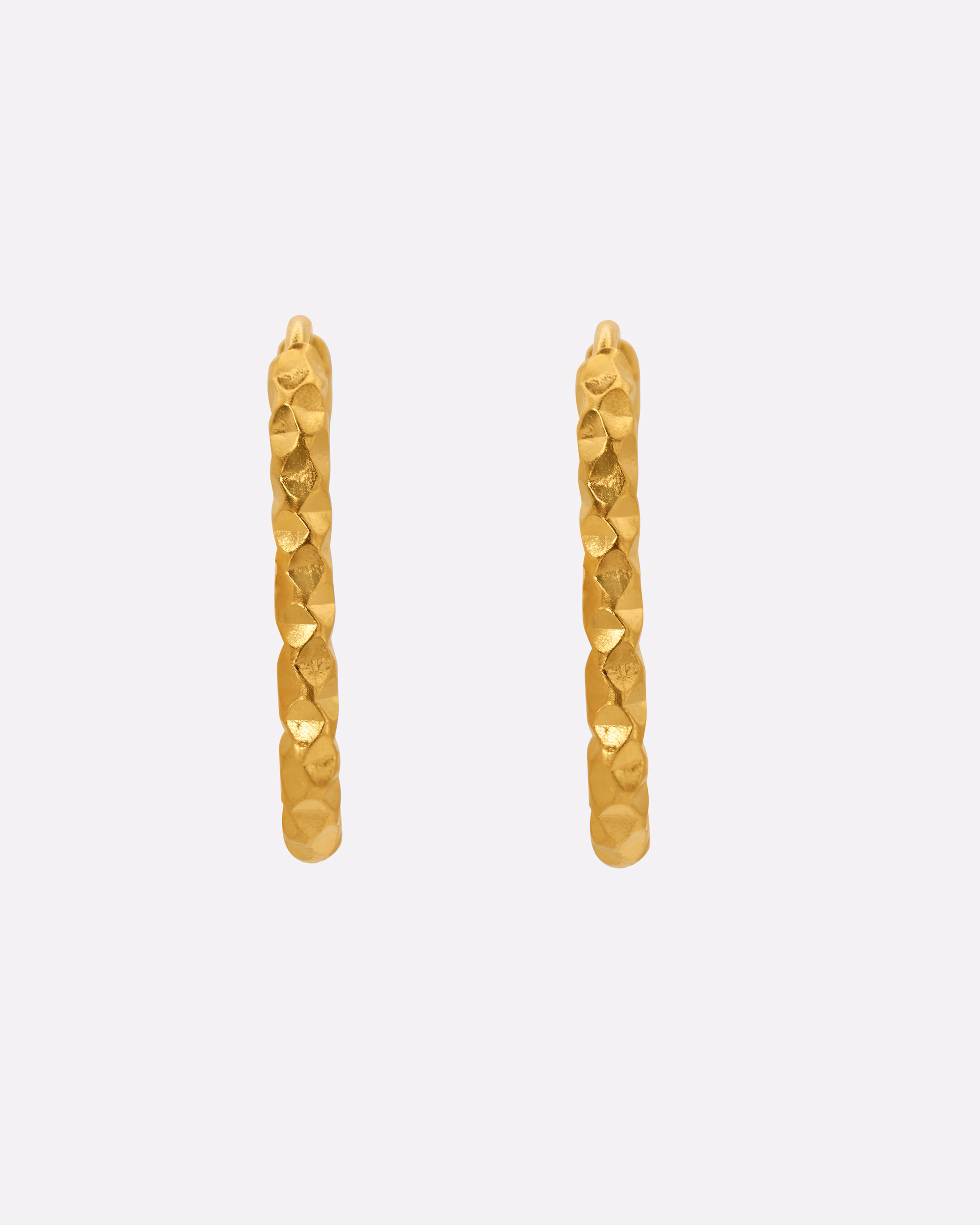 Heideman earring earrings James