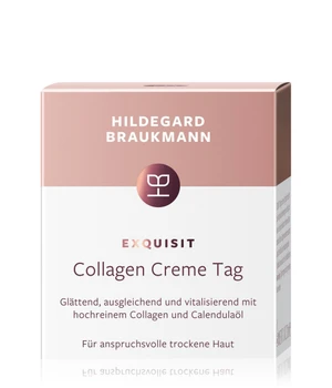 Hildegard Braukmann Exquisite Collages