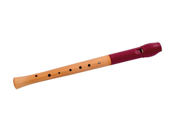 Wooden flute with plastic head