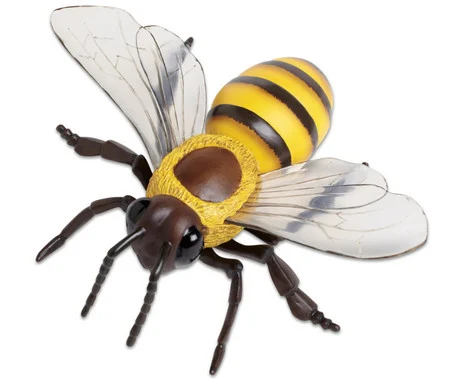 Honeybee model