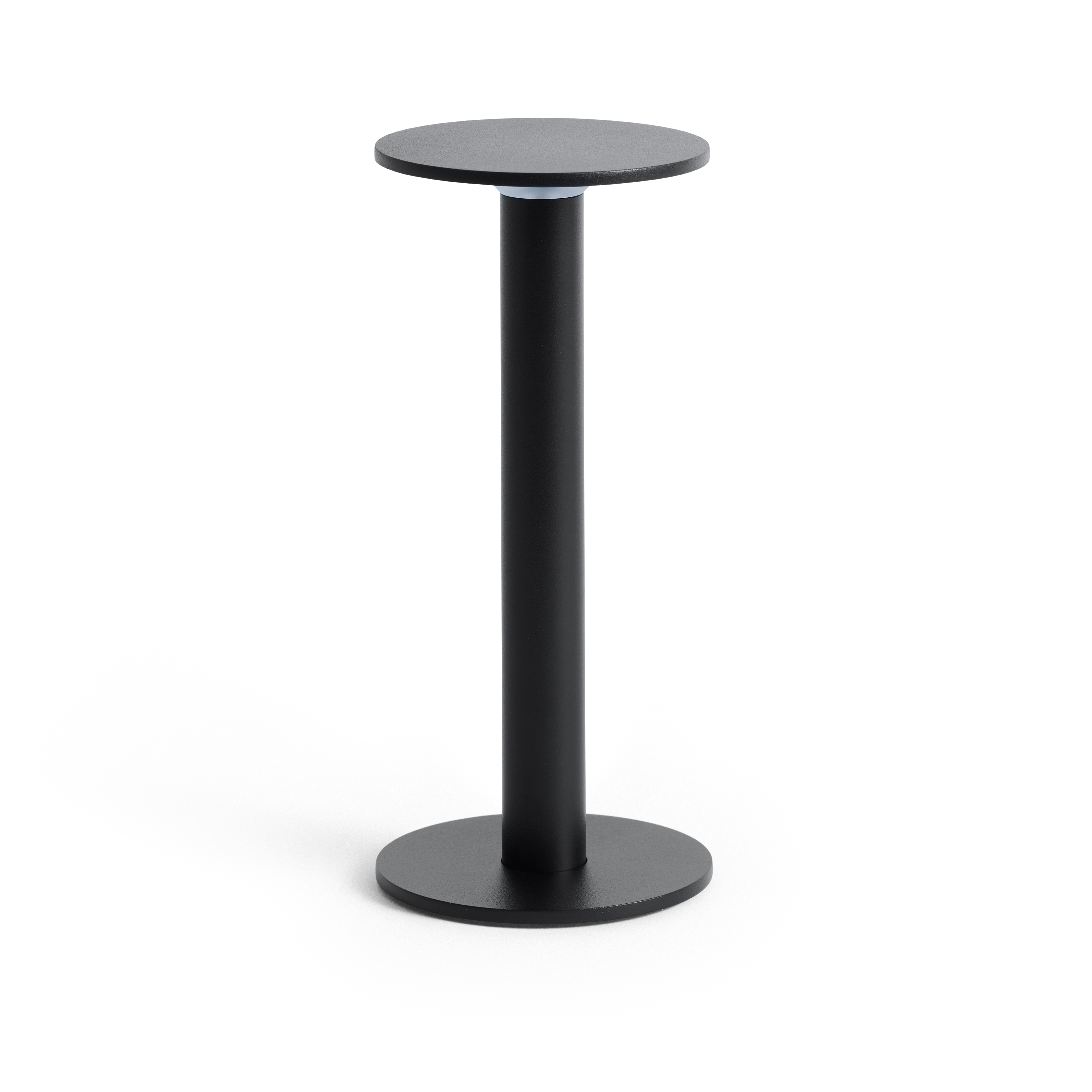 Host portable light