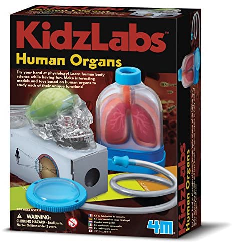 4M Human Organs