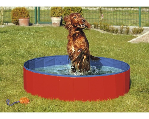 Dog pool Karlie Doggy Pool 120x30 cm red-blue