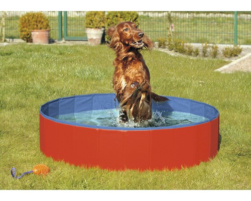 Dog pool Karlie Doggy Pool 160 cm red-blue